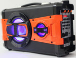 Portable Powerful BT Karaoke Speaker System with Microphone, LED Light & FM Radio