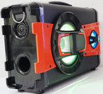 Portable Powerful BT Karaoke Speaker System with Microphone, LED Light & FM Radio