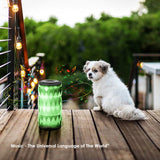 LED Bluetooth Speaker,Night Light Changing Wireless Speaker
