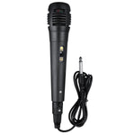 Portable Indoor Outdoor Entertainment Speaker With Microphone & Shoulder Strap